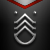 Master Chief Petty Officer (E-9)